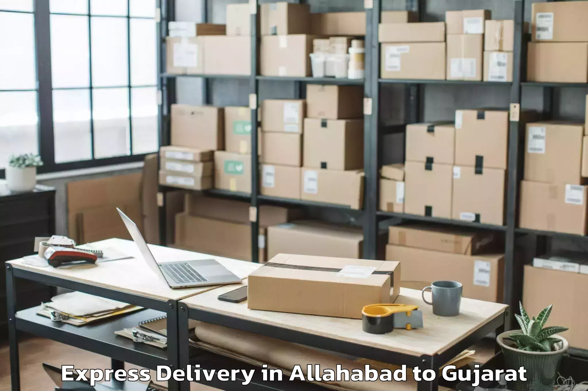 Top Allahabad to Gls University Ahmedabad Express Delivery Available